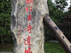 -杭州黄龙洞