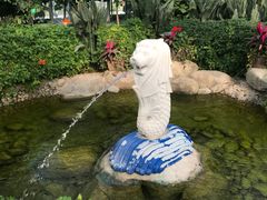 -南宫五洲植物乐园