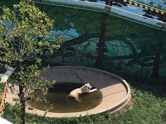 -西霞口神雕山野生动物世界