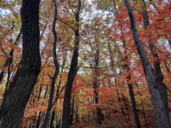 -五女峰国家森林公园