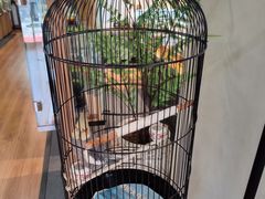 -阜昌典当行(阜成门店)