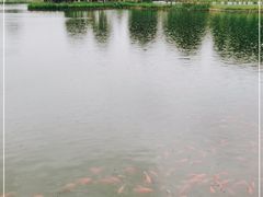 -西海子公园