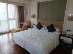 -四川江油戴斯大酒店