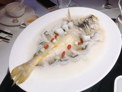 米汤浸东海大黄鱼-炳胜品味(海印总店)