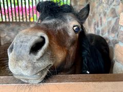 -珠海海泉湾神秘岛亲子乐园