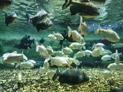 -成都浩海立方海洋公园