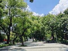 -荔湾湖公园