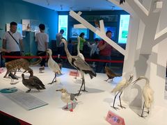 -漩门湾国家湿地公园