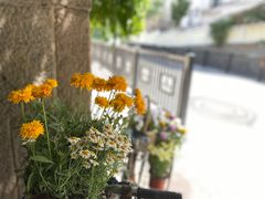 -华春餐馆(鱼山路店)