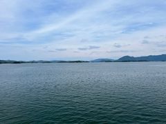 -柘林湖生态鱼馆