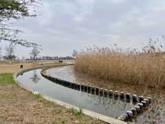 -鹦鹉洲湿地公园