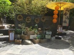 -西安国际创新人才交流中心•药浴温泉