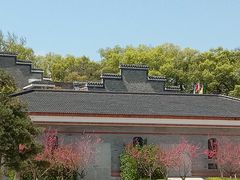 -溪口-滕头旅游景区