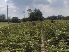 -映月湖中央公园