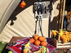 -圣露庄园·露营·烤肉·亲子