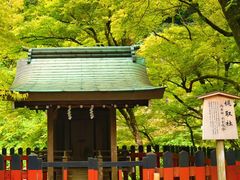 -三千院