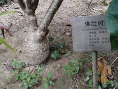-广州神农草堂中医药博物馆