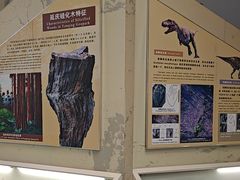 -延庆地质公园博物馆