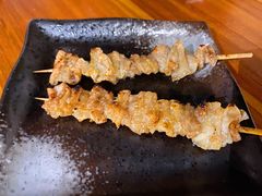 鸡皮-串鑫