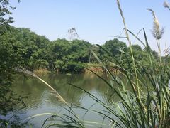 -梁鸿国家湿地公园