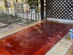 -春晖园度假酒店温泉