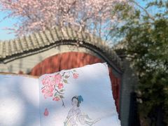 -桃花堤公园
