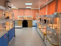 -翊宠yipet猫狗购宠庄园犬舍•猫舍