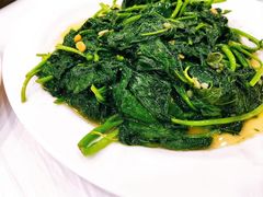 炒麻叶-光兴海鲜排档·小炒(莱利园店)