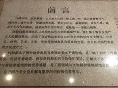 -白鹤梁水下博物馆