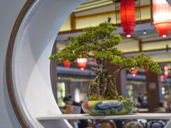 -顺德了能馆(虎门店)