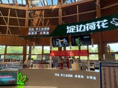 -白洋淀景区