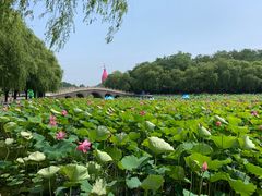 -南戴河国际娱乐中心