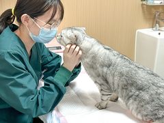 -瑞派康怡24h宠物医院·犬猫医疗中心·微创绝育(瑞景分院)