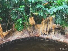 -龙达温泉生态城
