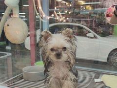 -FAELING PETS美天灵宠物(合生汇店)