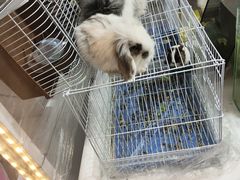 -万达广场(太原街店)