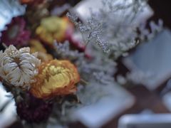 -泉乐坊步行街(烟酒特产平价超市店)