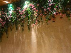 -浅深(北京北四环精品店)