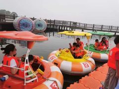 -鹅湖玫瑰文化园