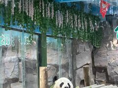 -栾川竹海野生动物园