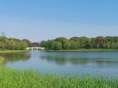 -昆山城市生态森林公园