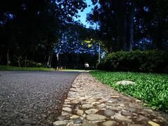 -松山湖梦幻百花洲
