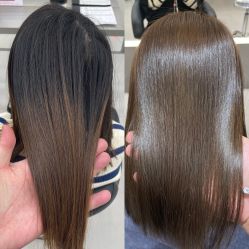 -蚂蚁造型俱乐部