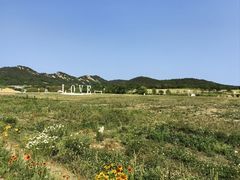 -西海岸生态观光园