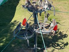 -西霞口神雕山野生动物世界