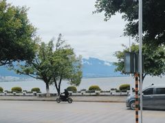 -野菌皇海景野生菌火锅(滨海大道店)