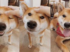 -卷耳咖啡