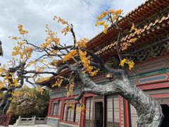 -横店影视城明清宫苑园区