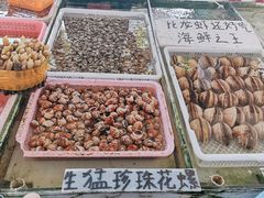 -大湾区中央湿地公园-十九涌