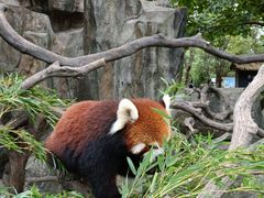 -常州淹城野生动物世界